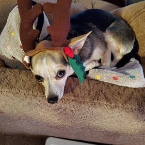 Meet your Posher, Steve